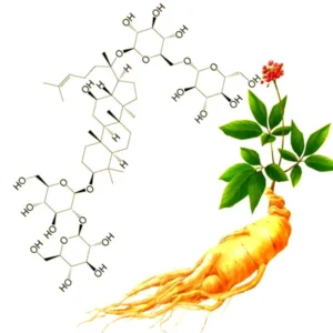 Ginsenosides HPLC45%