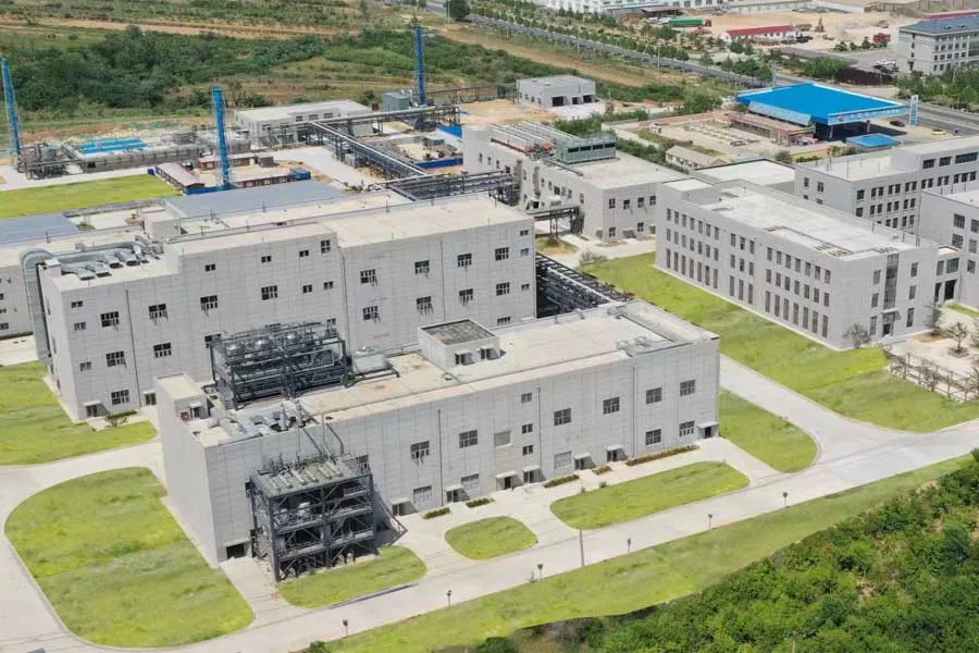 Kaempferia parviflora extract(5,7-Dimethoxyflavone HPLC10%) factory 